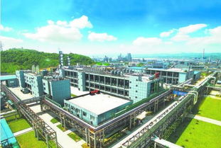 經(jīng)濟(jì)長(zhǎng)江綠為先